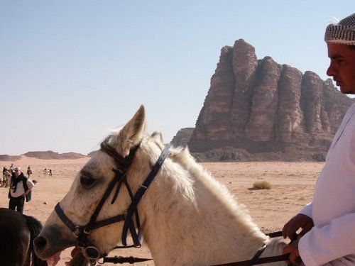 Captain'S Desert Camp Wadi Rum Buitenkant foto